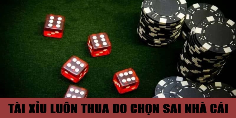 Chọn sai nhà cái là trả lời cho thắc mắc tại sao chơi tài xỉu toàn thua