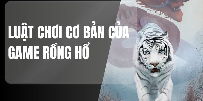 Thể lệ thi đấu của game Rồng hổ trực tuyến hiện nay